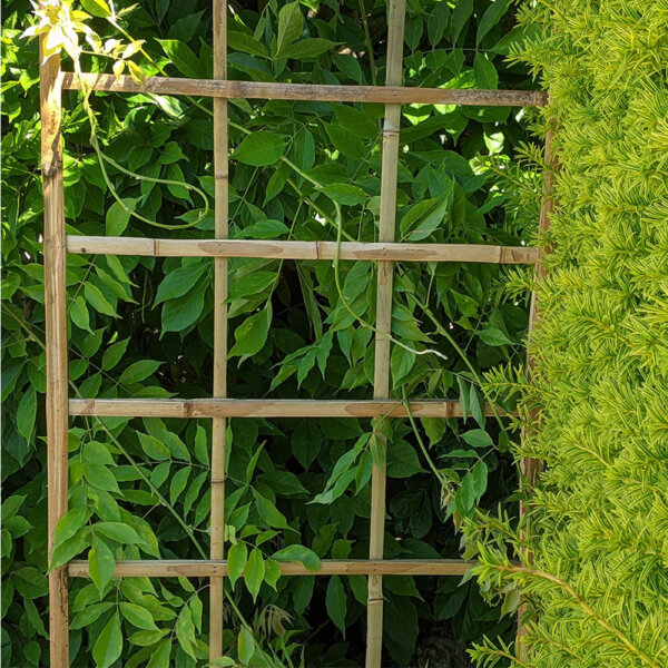 Customer image of the bamboo trellis in a garden