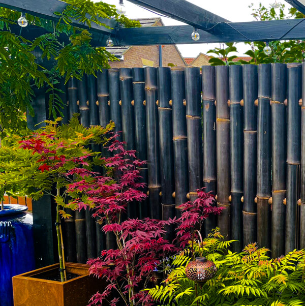 Colourful ornamental trees sit in front of a Java Black round pole bamboo fence panel