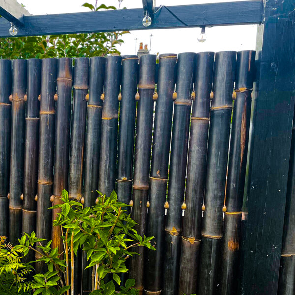 Part of a Java Black bamboo fence panel installed in a garden