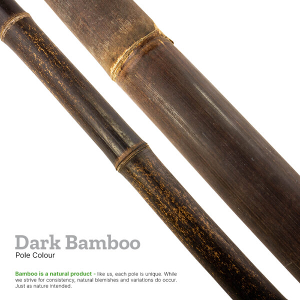 Explainer image showing the colour of black bamboo with supporting text explaining variations do occur