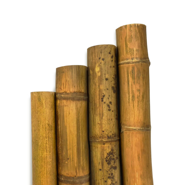 Guadua Bamboo Poles