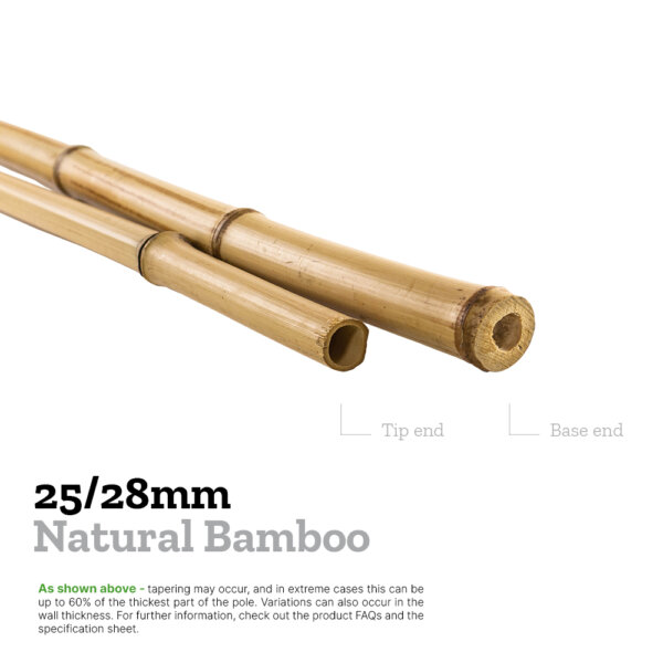 25/28mm moso bamboo explainer image comparing the diameters of the base and tip to show tapering