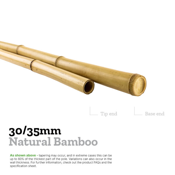 30/35mm moso bamboo explainer image comparing the diameters of the base and tip to show tapering