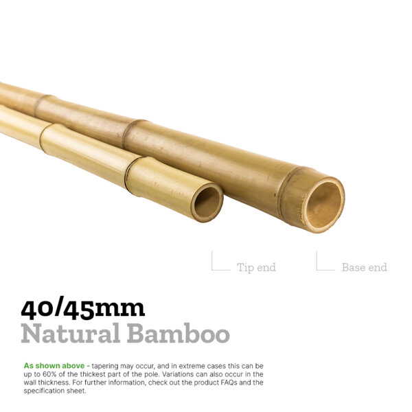 40/45mm moso bamboo explainer image comparing the diameters of the base and tip to show tapering