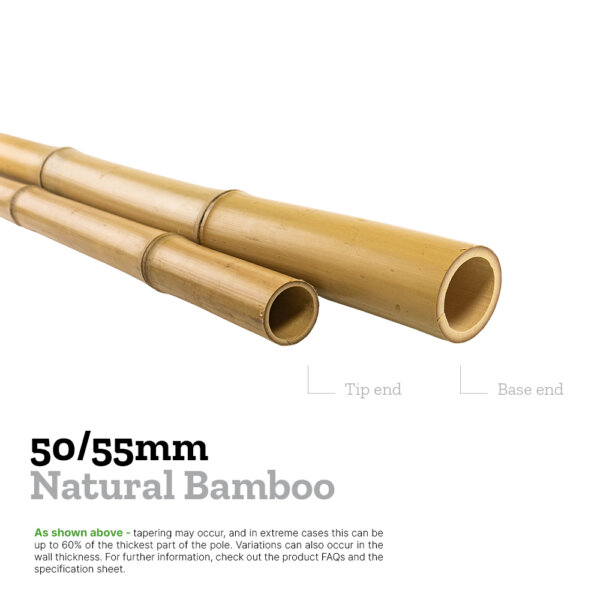 50/55mm moso bamboo explainer image comparing the diameters of the base and tip to show tapering