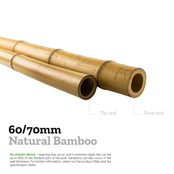 60/70mm moso bamboo explainer image comparing the diameters of the base and tip to show tapering