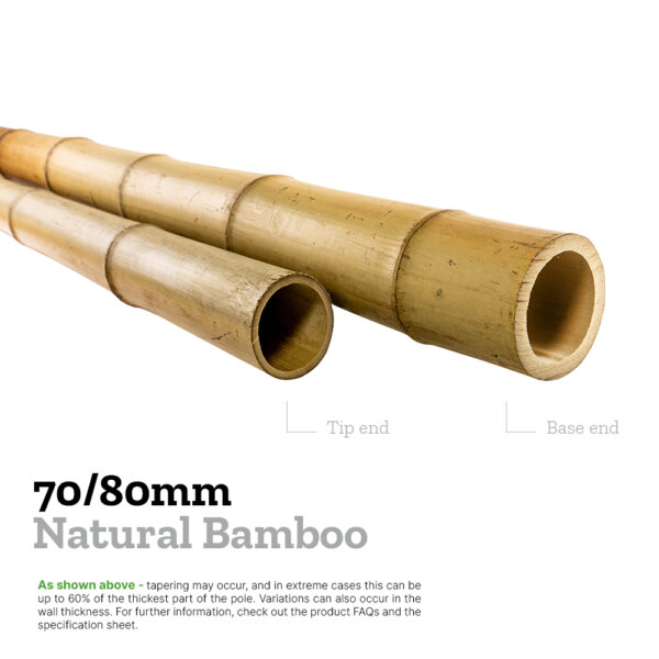 70/80mm moso bamboo explainer image comparing the diameters of the base and tip to show tapering