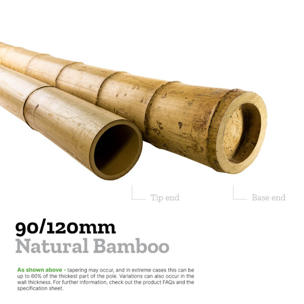 90/120mm moso bamboo explainer image comparing the diameters of the base and tip to show tapering