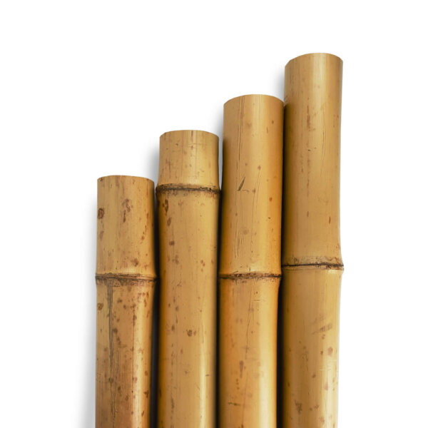 Natural Bamboo Poles