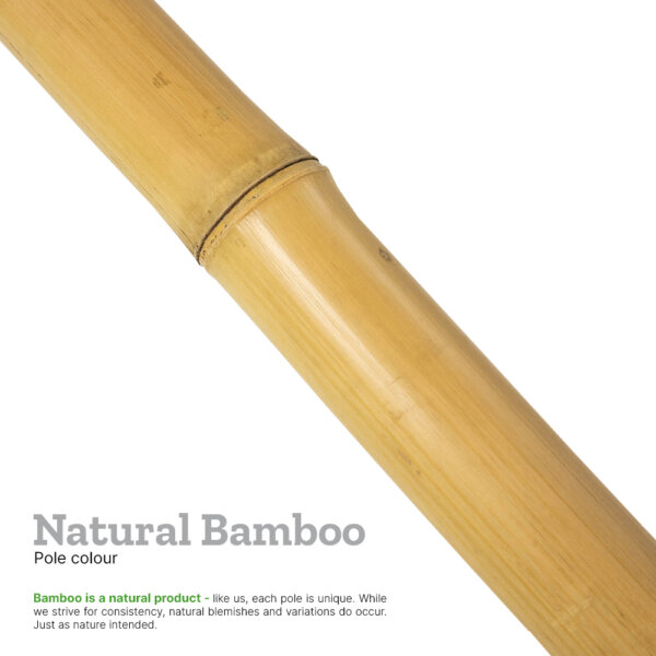 Explainer image showing the colour of moso bamboo with supporting text explaining variations do occur