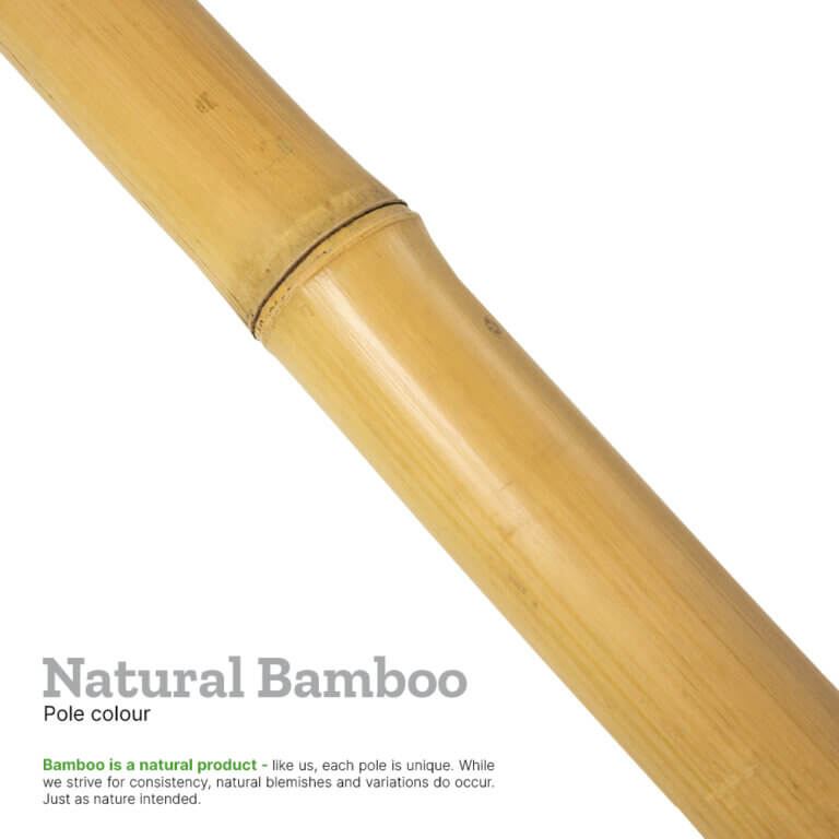120/150mm Natural Bamboo Pole 4m Half Round UK Bamboo