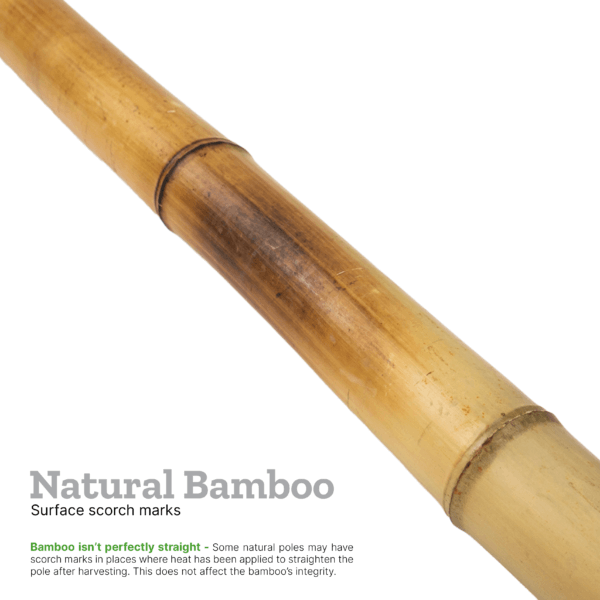 An image explaining surface scorch marks on natural bamboo poles, made by straightening the pole.