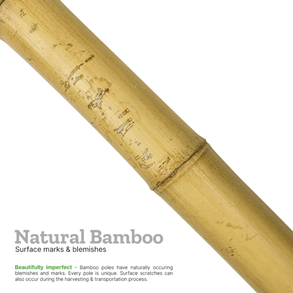 An image explaining surface marks & blemishes on natural bamboo poles