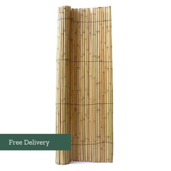 Bamboo Slat Screen