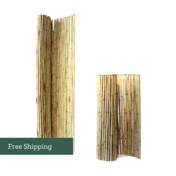 Moso Bamboo Screen