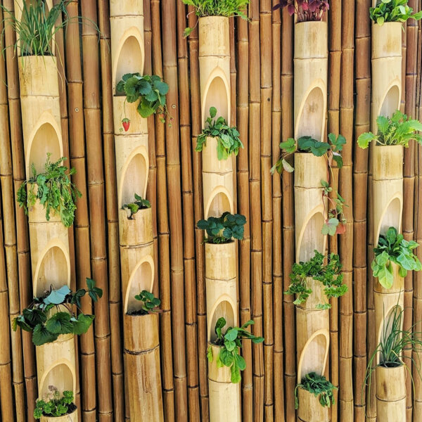 Customer image of vertical tali bamboo planters with growing plants inside