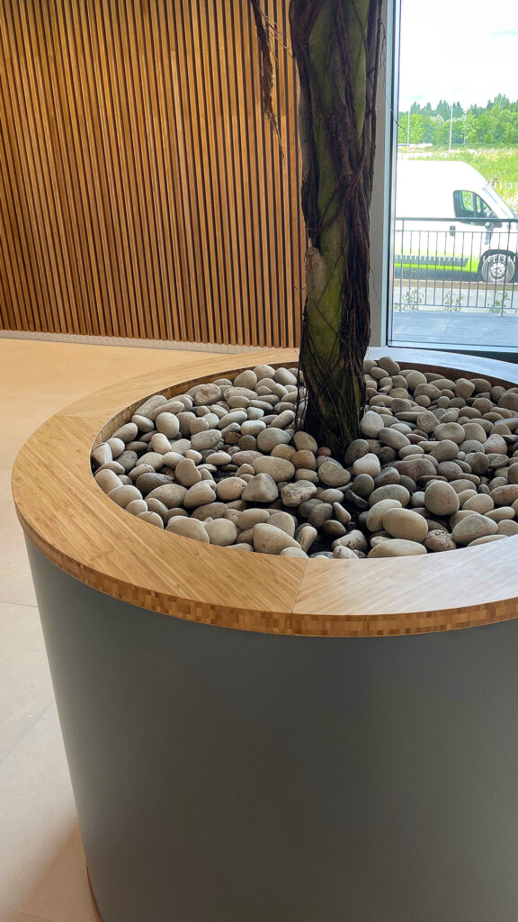 A project by Chapelwood Joinery - showing 40mm bamboo plyboard used on an office large plant pot
