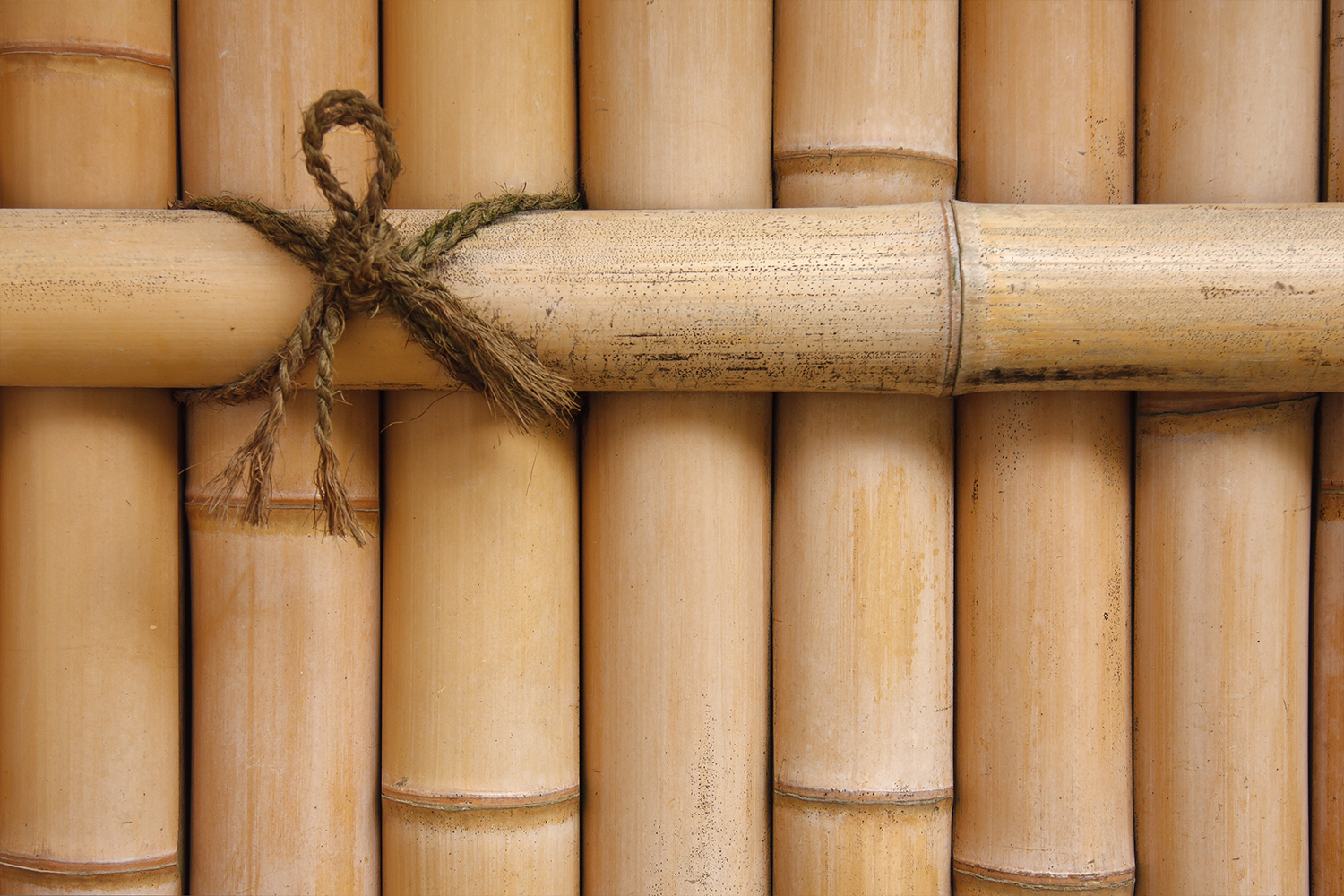 Hero image of a close-up of natural bamboo poles secured together with garden twine