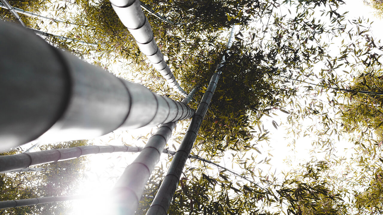 A close-up of a bamboo pole with leafy canopy swaying in the wind
