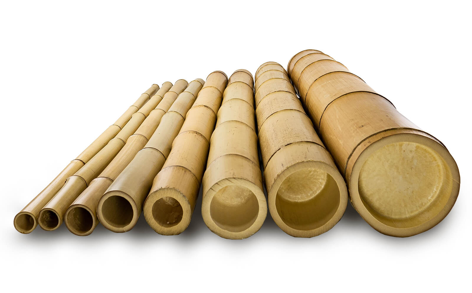 The natural bamboo pole range diameters available at UK Bamboo Supplies