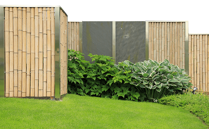 Large bamboo fence panels installed in a garden with large leafy plants and lawn in foreground with background removed
