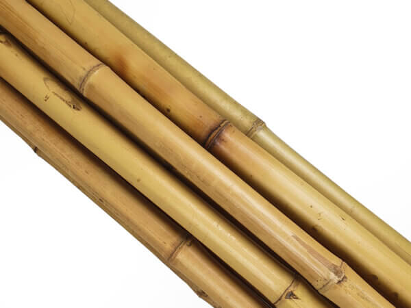 2m Natural Bamboo offcuts 25/50mm - Pack of 10