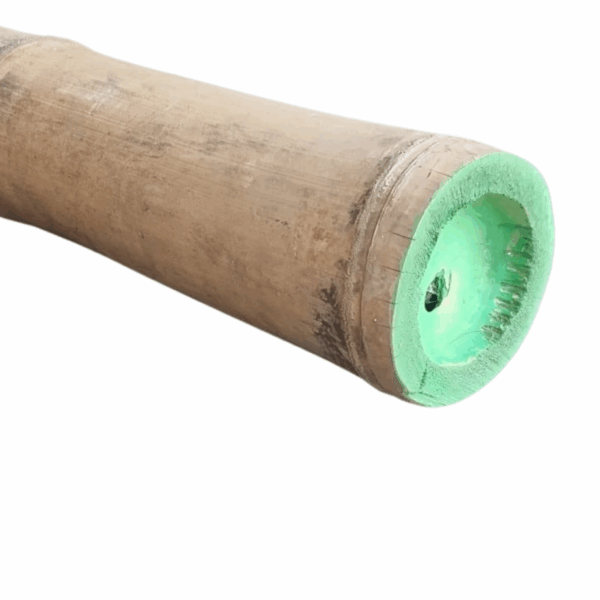 5.85m Asper Bamboo Pole 130/150mm