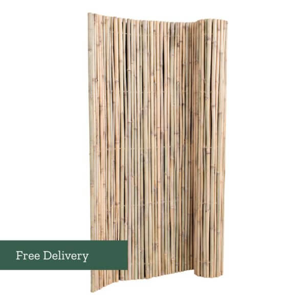 Standard Bamboo Screen